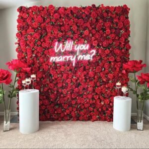 Transform your event with our Red Rose Flower Wall – a captivating backdrop available for hire in Northampton and nearby areas. Ideal for weddings, parties, and birthdays, this flower wall adds a touch of romance and sophistication. Elevate your venue with our extensive selection of backdrop and prop hire services, ensuring a memorable and vibrant celebration