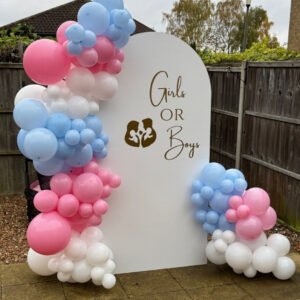 Twins Gender Reveal with personalised writing